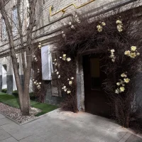 салон красоты o sebe изображение 16