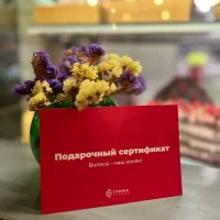 студия грива на ярославской улице изображение 6