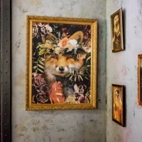 салон красоты лиса в бигудях изображение 6