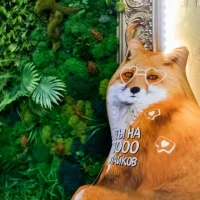 салон красоты лиса в бигудях изображение 4